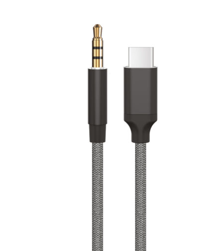 iBerry Aux Type C